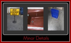 A collection of some of the odd and strage things detailed by Fifty Dollar Detail, Ridgefield, WA>